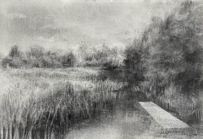'Pastoral Void II' Deborah Grice contemporary landscape artist graphite powder drawing of a stream surrounded by foliage and reeds. It is set in daylight with an eery white voids, in the middle of the water. 