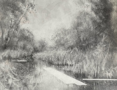 'Pastoral Void' Deborah Grice contemporary landscape artist graphite powder drawing of a stream surrounded by foliage and reeds. It is set in daylight with an eery white voids, in the middle of the water. 